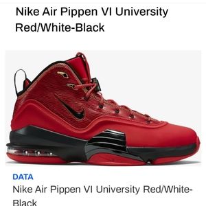 Nike Pippen 6 aniversity classic shoe